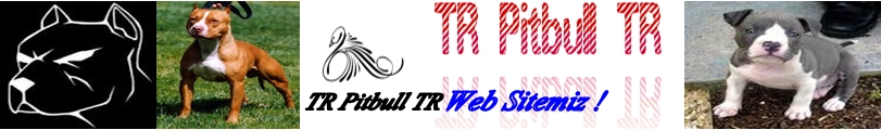 TR Pitbull TR 
